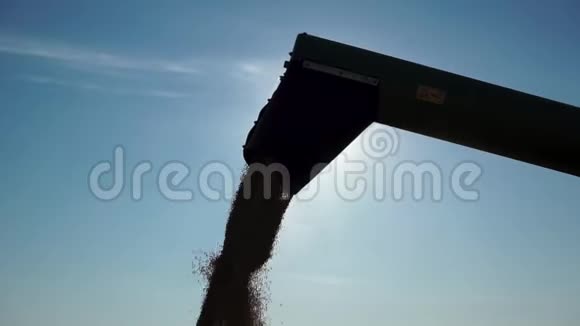 在卡车集装箱内通过一个联合延伸臂将源源不断的谷物小麦漏斗的特写轮廓视频的预览图