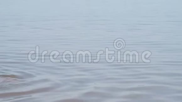 在咸湖里洗澡的人视频的预览图