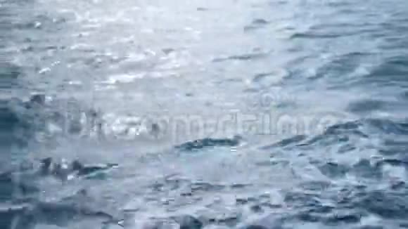 海浪从船上射出视频的预览图