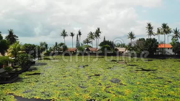 巴厘岛印度尼西亚2018年12月7日惊人的空中无人机视频湖和莲花场在一个热带岛屿巴厘岛视频的预览图