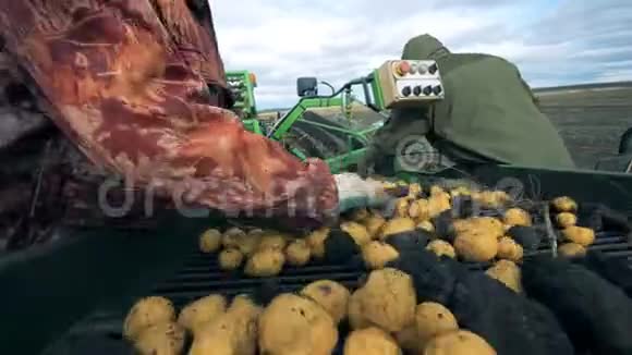 垃圾正被两个工人从皮带上的土豆上移走收获概念视频的预览图