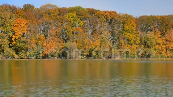 湖中秋色的树木和云的倒影视频的预览图