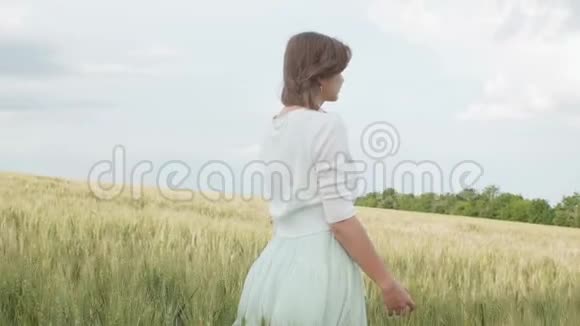 一个年轻的女孩在麦田里祈祷一个女人在玉米穗中享受大自然感谢上帝一个宗教和节日的概念视频的预览图