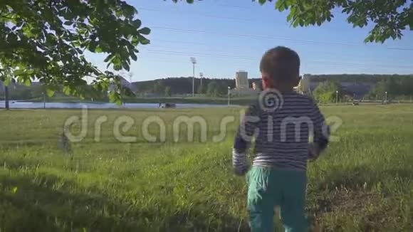 孩子从草地上的摄像机跑出来小男孩在城市公园里的一棵新鲜的草地上迈出了第一步背面视频的预览图