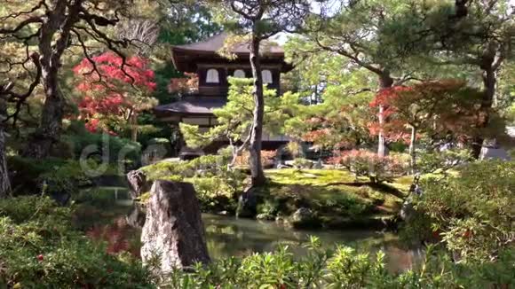 京都银阁金阁寺金阁寺金阁初秋时节视频的预览图
