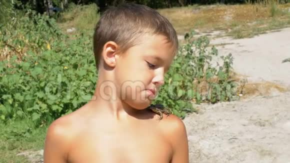 蟾蜍坐在河边海滩上一个小孩的肩膀上视频的预览图