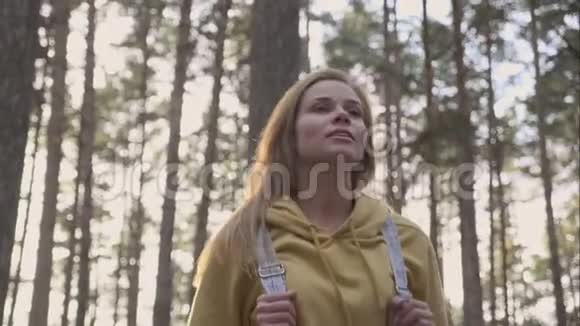 旅行女孩走在秋天的树林之间视频的预览图