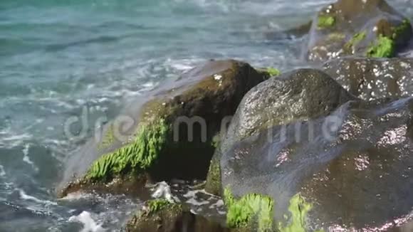 特写镜头海浪海岸上长满藻类的石头慢动作视频的预览图