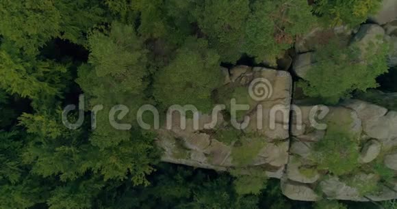 山岩配树美射视频的预览图