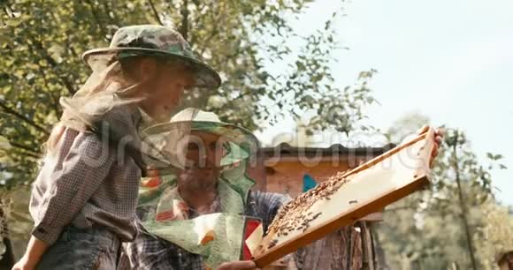 农业和家庭观念经验丰富的养蜂人正在把木架上的蜂窝展示给他的小儿子视频的预览图