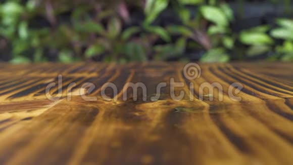绿色的罗勒叶落在木桌上木质背景的新鲜罗勒草本植物调味原料视频的预览图