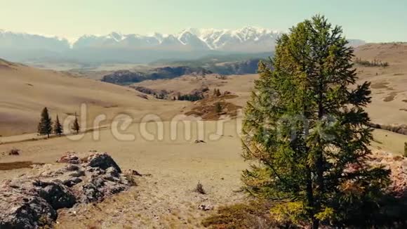 空中观景阿尔泰山谷和山脉视频的预览图
