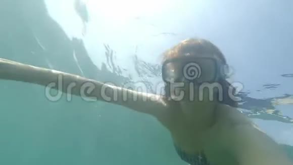 年轻的棕色头发的女人带着游泳面具看着动作镜头在水下潜水没有角鲨鱼的灯光视频的预览图