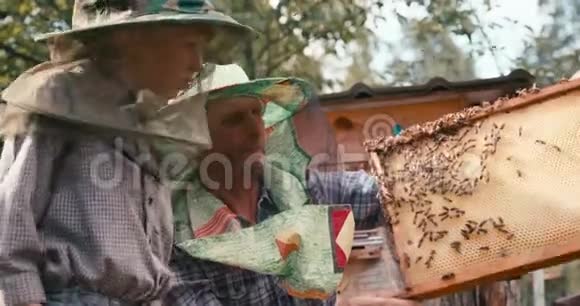 红色相机拍摄的经验父亲养蜂人向他的小儿子展示蜂窝在木架上充满蜜蜂视频的预览图