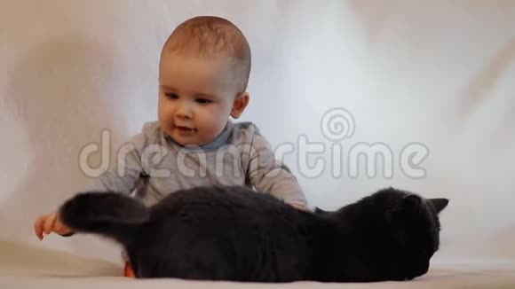 一个高兴的小孩子试图抓住一只猫的尾巴宝贝和猫玩慢镜头视频的预览图
