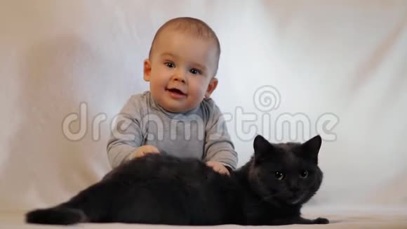 慢镜头拍摄一个小男孩和一只猫坐在沙发上的肖像孩子和猫的友谊视频的预览图