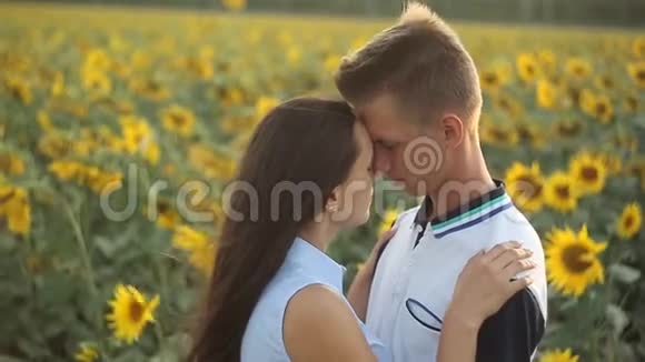 黄昏时分一对情侣在一片向日葵的田野里拥抱着对方视频的预览图