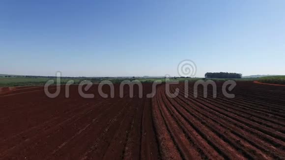 巴西圣保罗甘蔗田甘蔗田土上的空中小车甘蔗地视频的预览图