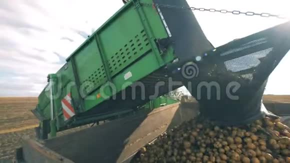 许多土豆被收集机掉进容器里视频的预览图