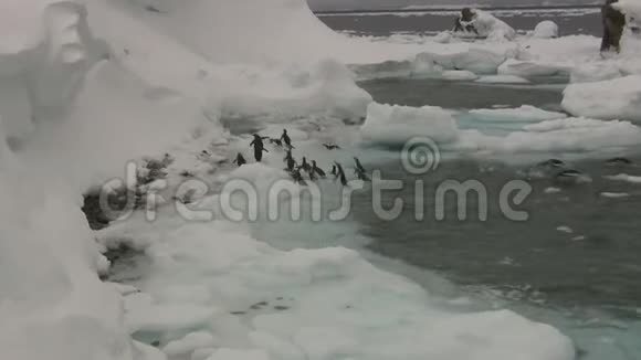 前往南极岛冰冷海岸的阿德利斯企鹅群视频的预览图