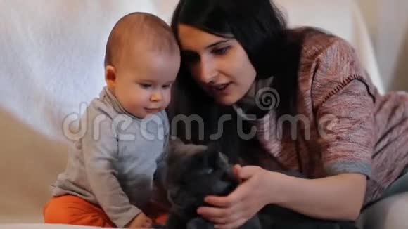 一个年轻的女人教她的小儿子对待宠物妈妈和宠物猫宝宝慢镜头视频的预览图