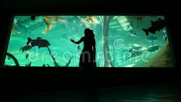 有趣的女人在海洋馆碰玻璃看大鱼视频的预览图