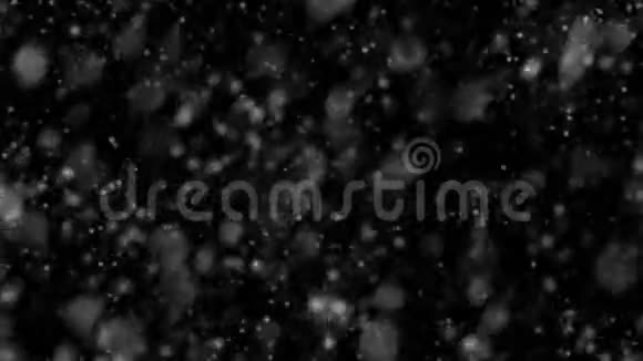 从左到右飘落现实的雪花下雪了动态波克孤立在黑色背景上回放录像西塞视频的预览图
