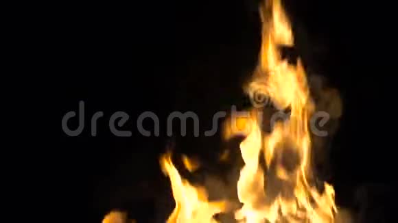 燃烧的火焰视频的预览图