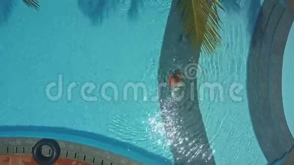 女人在热带树下游泳视频的预览图
