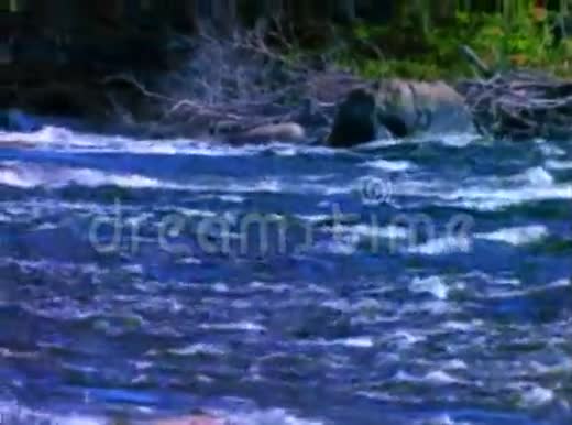 河顶35毫米视频的预览图