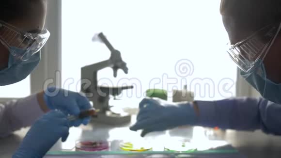 生物分析实验室技术人员对培养皿进行化学实验并在诊所取样视频的预览图