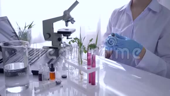 实验室工作人员用试管中的植物进行生物研究然后在显微镜下检查视频的预览图
