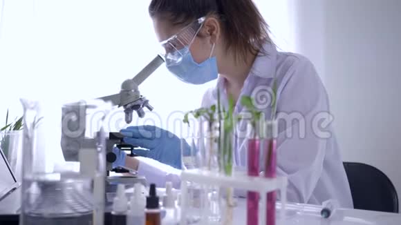 转基因植物显微镜分析专家妇女穿着白色外套和手套在实验中检查样品视频的预览图