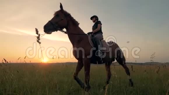 一个运动员骑着种马在田野底部的视野视频的预览图