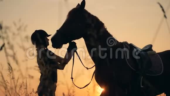 人与动物的爱情观念一个骑手和一匹马在日落背景下侧视视频的预览图