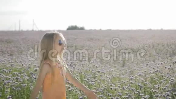 金发小女孩戴着太阳镜在野花的背景上视频的预览图