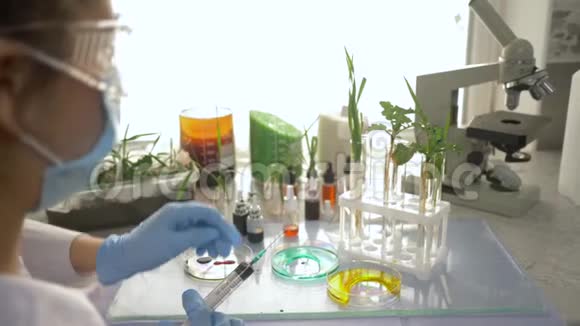 基因实验室科学家将化学制剂从注射器中注入试管中的草视频的预览图