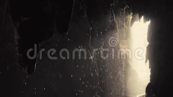 热带洞穴内部水滴缓慢下落视频的预览图