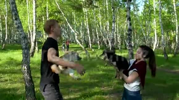 一个男人和一个女孩和狗在树林里玩耍视频的预览图