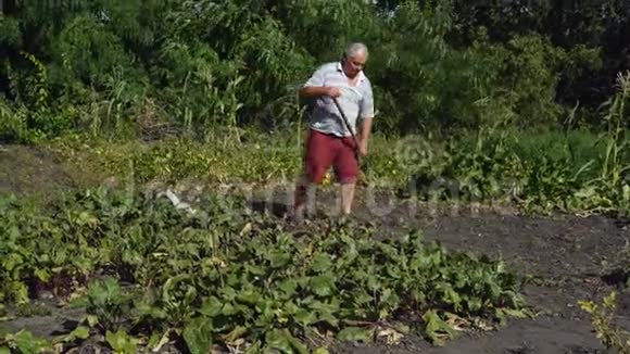 这位老人正在花园里的村庄里用锄头帮除草然后离开视频的预览图