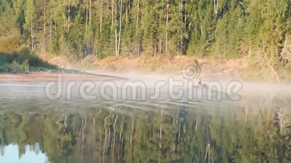 一艘充气摩托艇上的渔夫游到河岸秋林中的背景视频的预览图