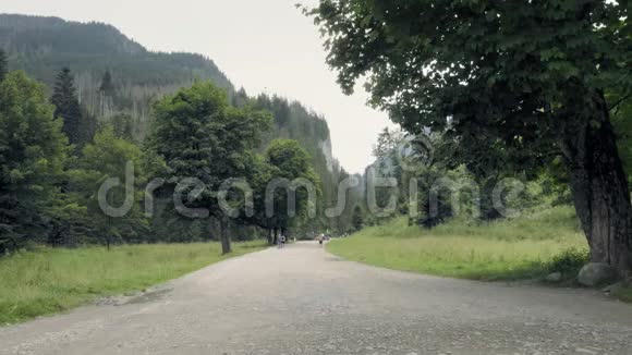斯洛伐克纪念碑峡谷有徒步路径山谷中有步道视频的预览图