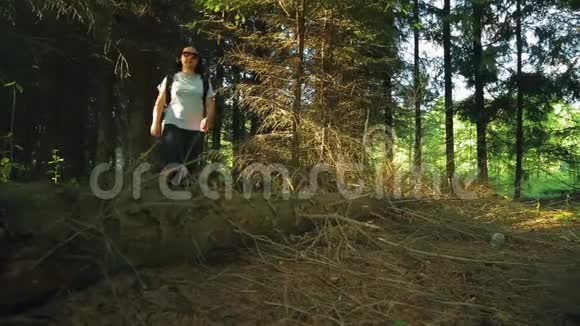 一个女人在茂密的森林里踏着一棵倒下的树视频的预览图
