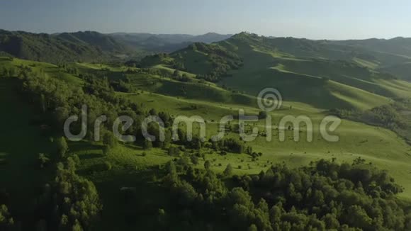 空中无人机镜头视图在阳光柔和的光线下用松林飞越春天的山脉山丘和草地欧洲视频的预览图