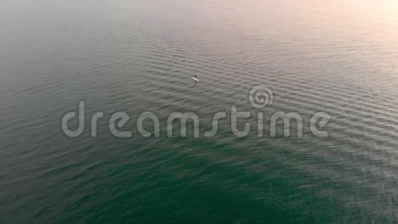 一名运动员站起桨水上运动的距离空中俯瞰海洋视频的预览图