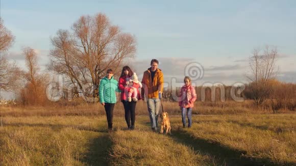 带着父母的女孩和狗一起在公园里散步用皮带说话微笑视频的预览图
