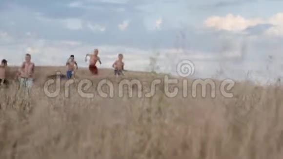 孩子们的视野在一片黄草的田野里竞争视频的预览图