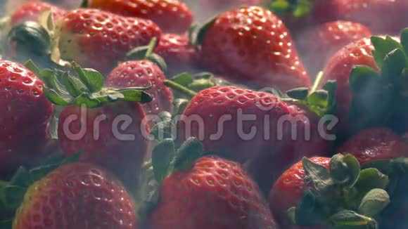 冰镇草莓桩与伊西蒸气视频的预览图