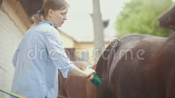 在一个阳光明媚的日子里女人的马在动物农场刷马视频的预览图