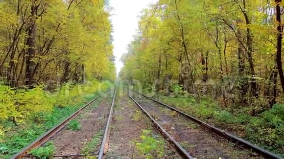乌克兰森林中有电车线路的秋天视频的预览图